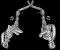 2007-2010 Shelby GT500 American Racing Header 1 3/4" x 3" with Catted X-Pipe